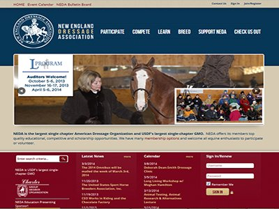 NEDA redesigned site